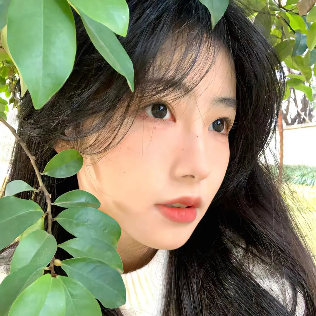 十三妹国语