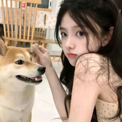 美国忍者5