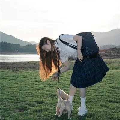 爱乱伴侣